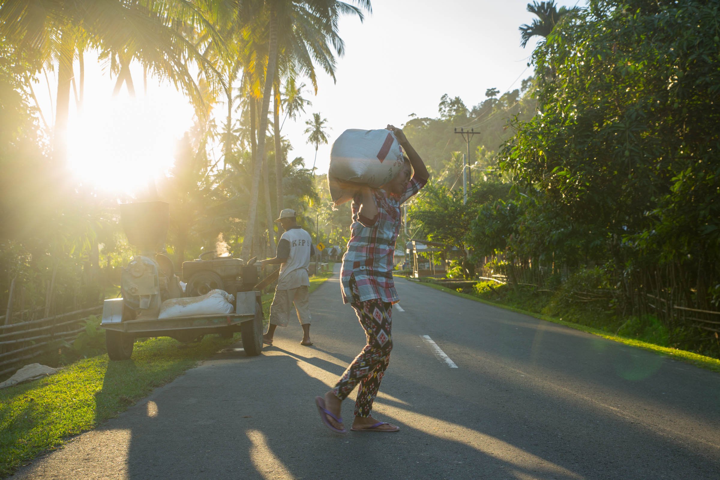 Simeulue Island green business and eco friendly living Simeulue Island green business and eco friendly living