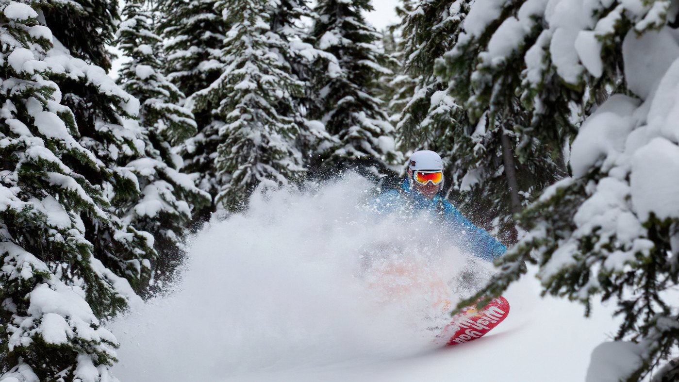 White Grizzly Catski