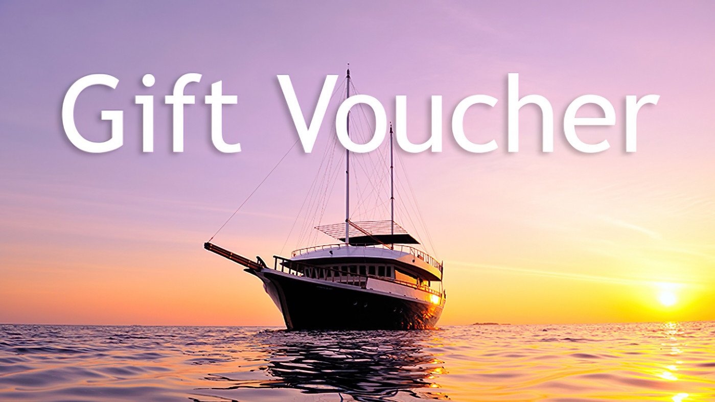 Gift Voucher Surf