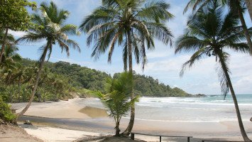 EasyDrop Surf Camp Itacare