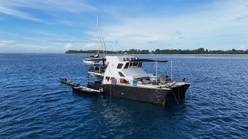 Odyssey Mentawai