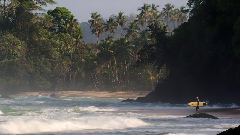 Green Flash Catamaran Adventures
