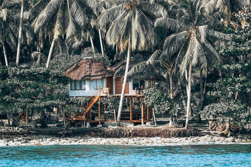 Driftwood Mentawai
