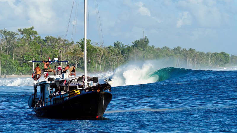 Kuda Laut