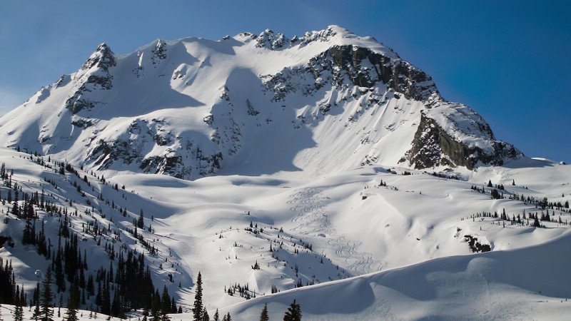 CMH Cariboos