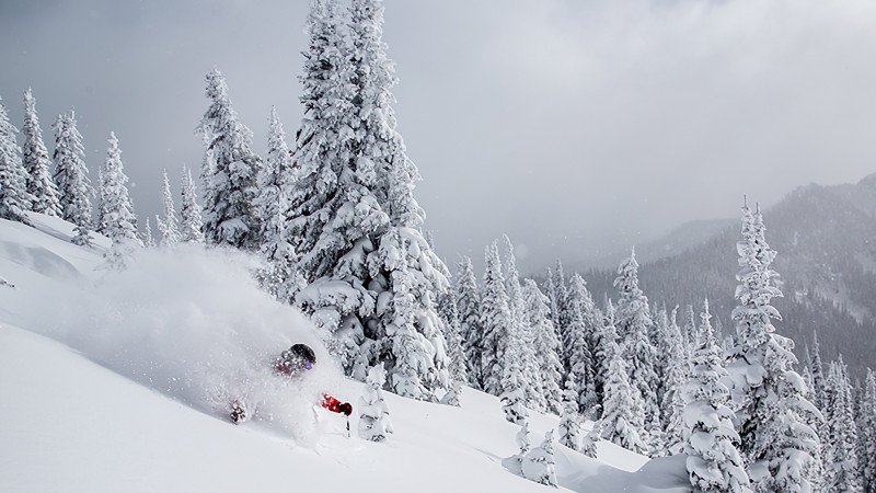 Stellar Heliski